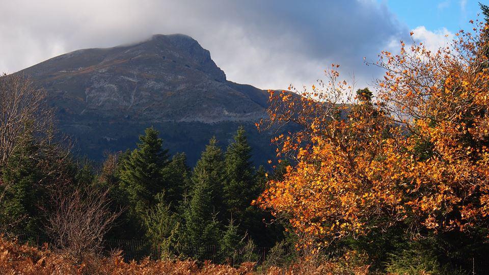 Livadaki Village Megali Kapsi Екстер'єр фото
