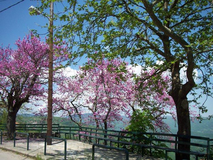 Livadaki Village Megali Kapsi Екстер'єр фото